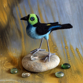 Райская  танагра