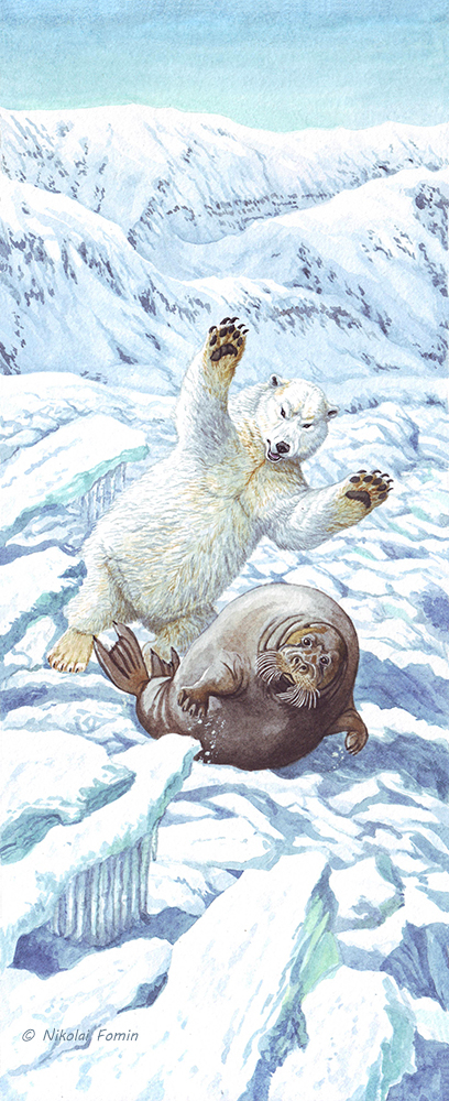 Ах ты так, лахтак? Ну, заяц морской, погоди....