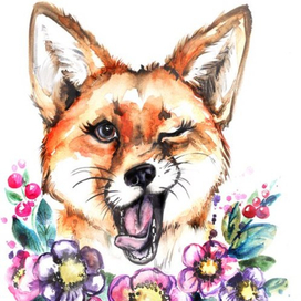 весенняя лиска