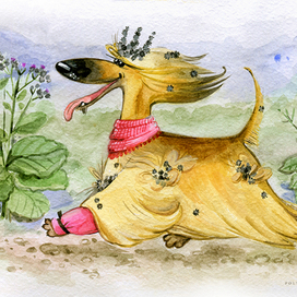 Ушла в отрыв! Серия «Любимые афганы».