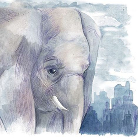 Розовый слон