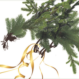 новогодняя открытка (петух)