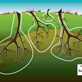 Серия эко плакатов