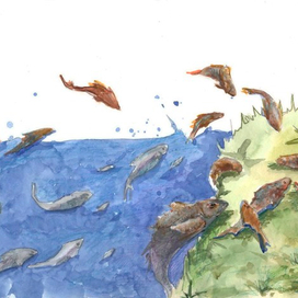 Голодные коты.