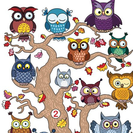 Совиное дерево