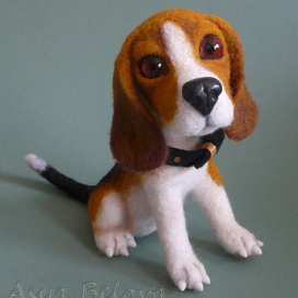 Бигль  ( другой ракурс )