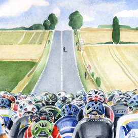 Тур де Франс. Пелотон. 