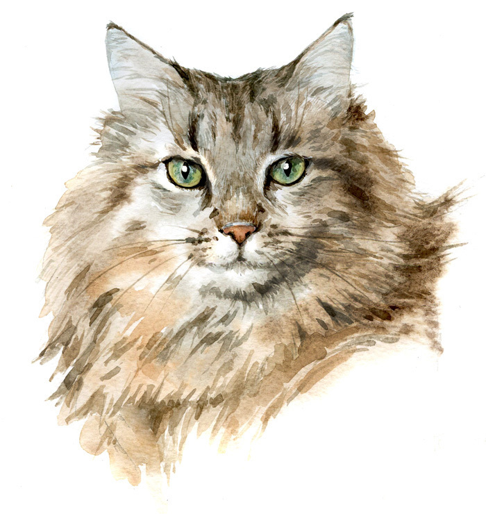 Портрет Мурзика