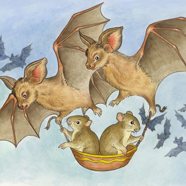 Мыши тоже летают