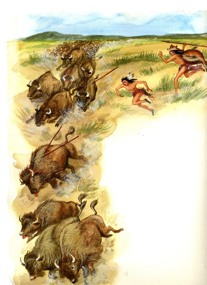 Илл. к журналу "Пашош","Бизоны"