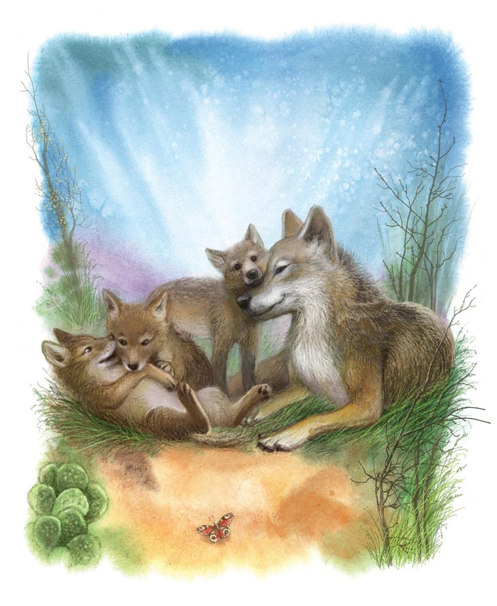 Бабочка любви