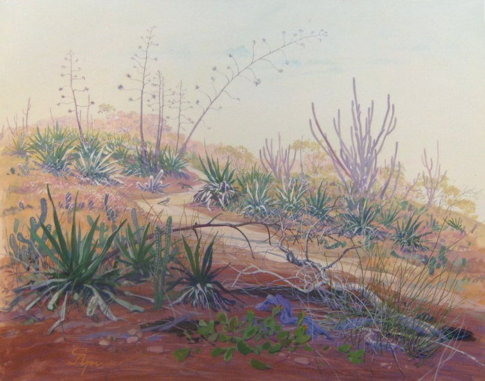 Тропинка на Пирпиритубу