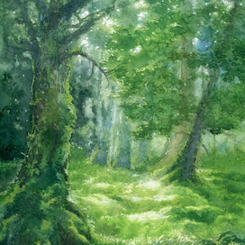 Сказочный лес