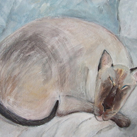 сладкий сон