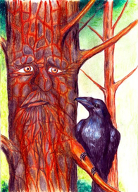 Дерево и ворон