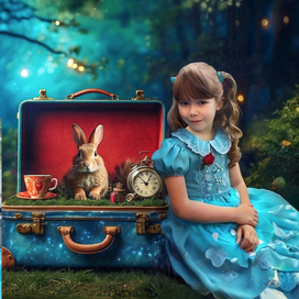 Алиса и кролик