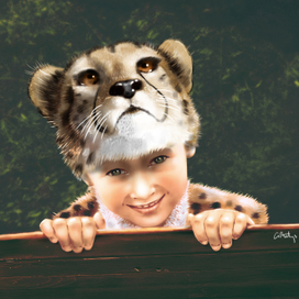 Cheetah Cub
