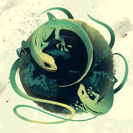 Для обложки