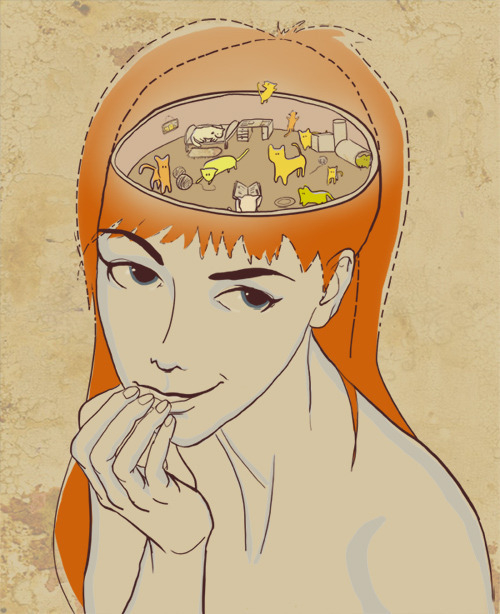 котики мозга