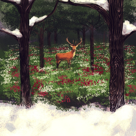 Вчера я видела оленя.