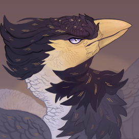 Портрет персонажа