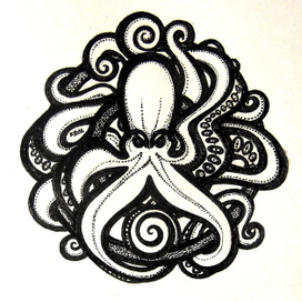 Octopus