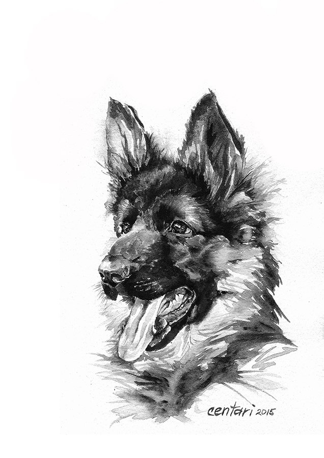 овчарочий малыш