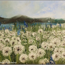 Одуванчики