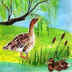 КОЛОГРИВСКАЯ ПОЙМА