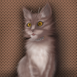 Кошка по имени Тыква