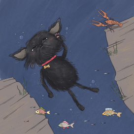 За кристаллом