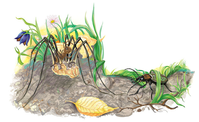 Иллюстрация