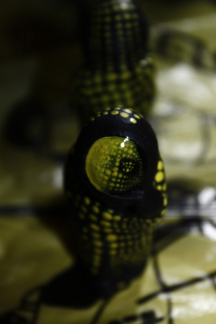 бродячая луна...