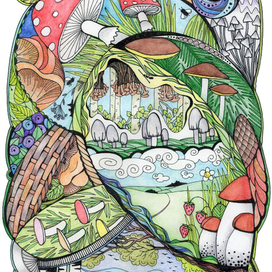 Царство грибов