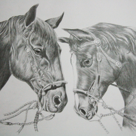 кони тоже люди