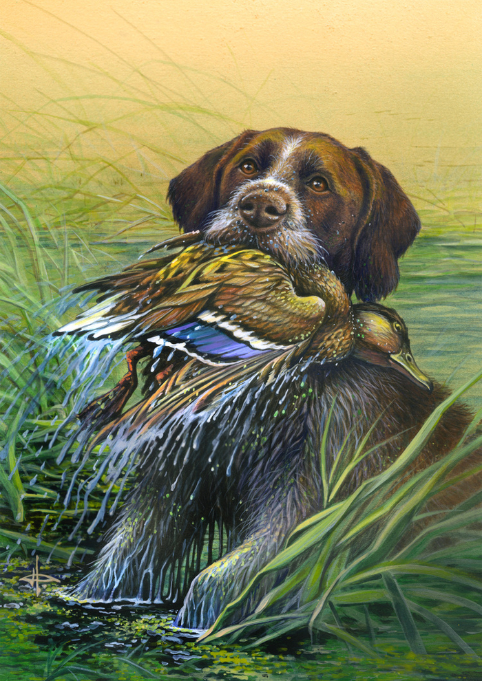 Нильс ! Подай...!!!