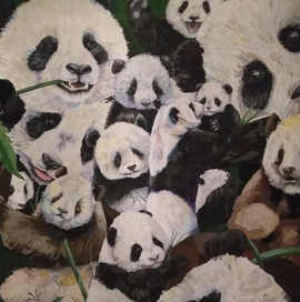 Панды