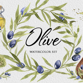 Оливковый сет