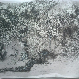 Весенний дракон