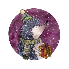 Ёжик и подарок