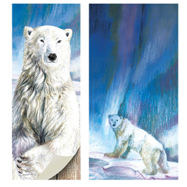 белый медведь северное сияние