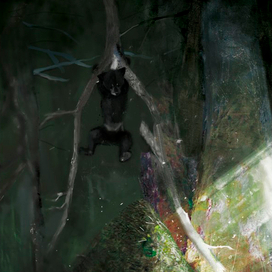 Любитель меда