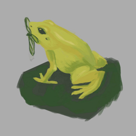 Желтая лягушка 