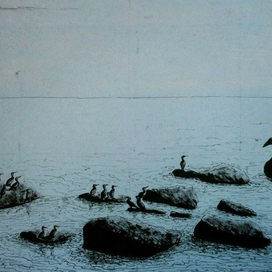 доклад баклана