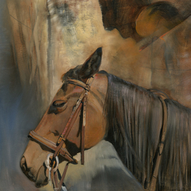 Голова лошади