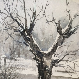 Первый снег на Блюхера