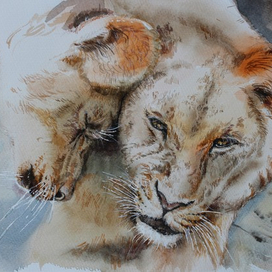 Семья львов