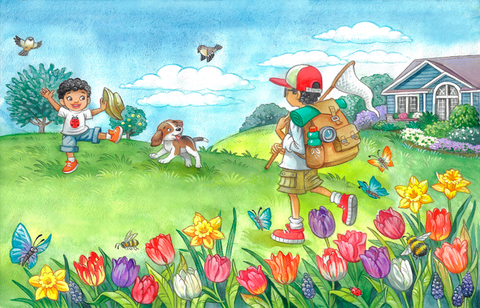 иллюстрация для книги о жуках