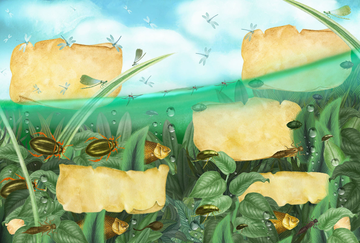 Большая Книга Насекомых