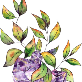 Листья и кристаллы